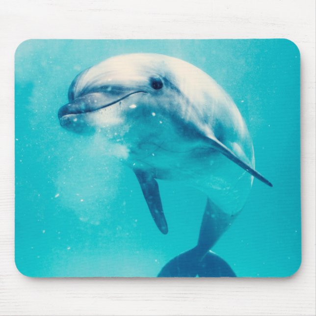 Undervattens- Bottlenosed delfin Musmatta (Framsidan)