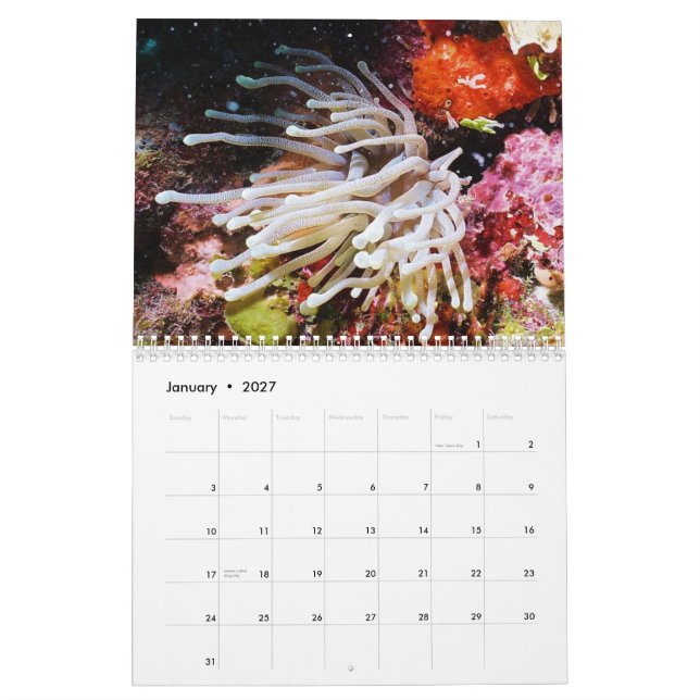 Undervattens- Cozumel 2011 Kalender (Jan 2027)