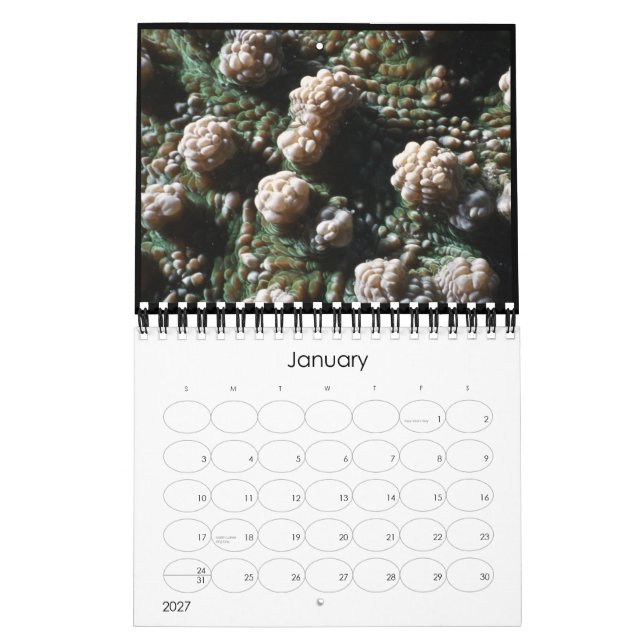 undervattens- kalender 2010 (Jan 2027)
