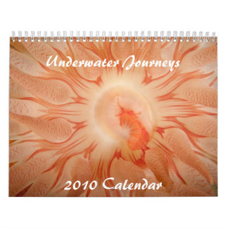 Undervattens- kalender för resor 2010