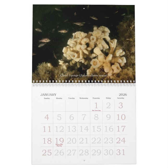 Undervattens- kalender för resor 2010 (Jan 2026)