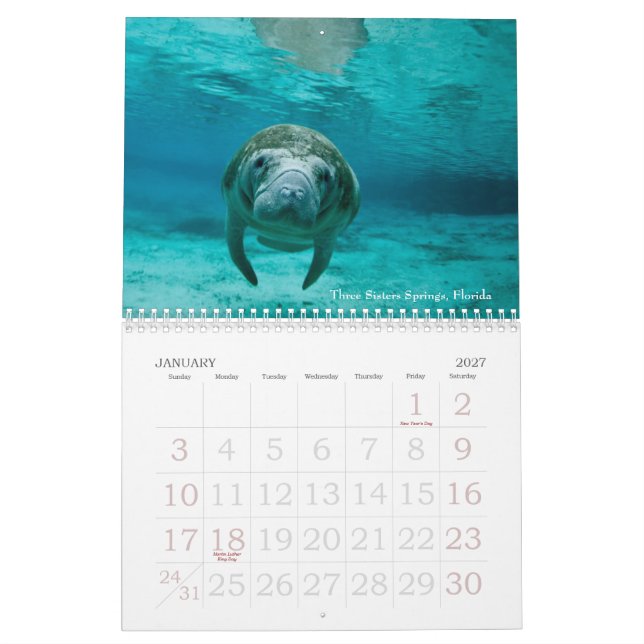 Undervattens- kalender för resor 2014 (Jan 2027)