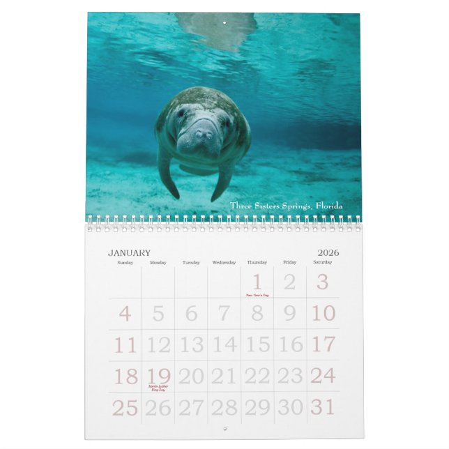 Undervattens- kalender för resor 2014 (Jan 2026)