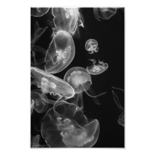 Undervattens- manet fototryck