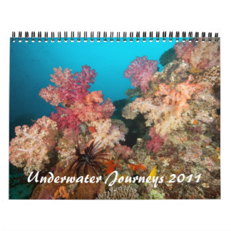 Undervattens- resor 2011 kalender