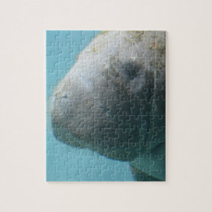 Undervattens- stor Manatee Pussel