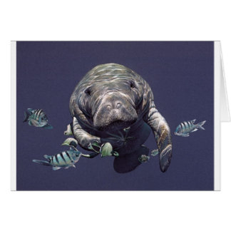 Undervattens- värld för Manatee Hälsningskort