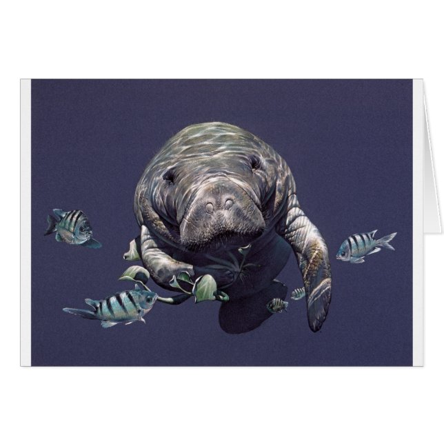 Undervattens- värld för Manatee Hälsningskort (Framsidan Horizontal)