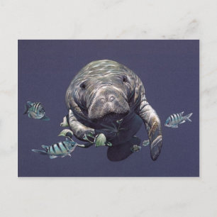 Undervattens- värld för Manatee Vykort