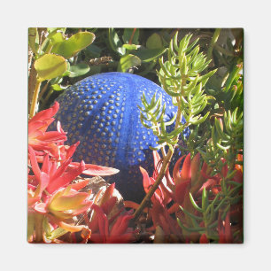 Undervattensanläggning Garden med Orb Magnet