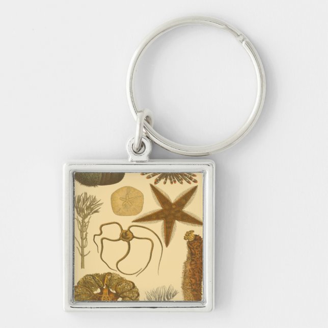 Undervattensbesättningar Fyrkantig Silverfärgad Nyckelring (Framsidan)