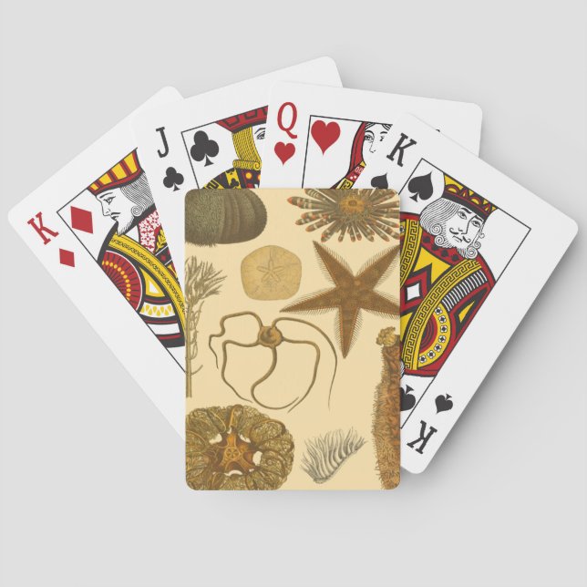 Undervattensbesättningar Kortlek (Baksidan)