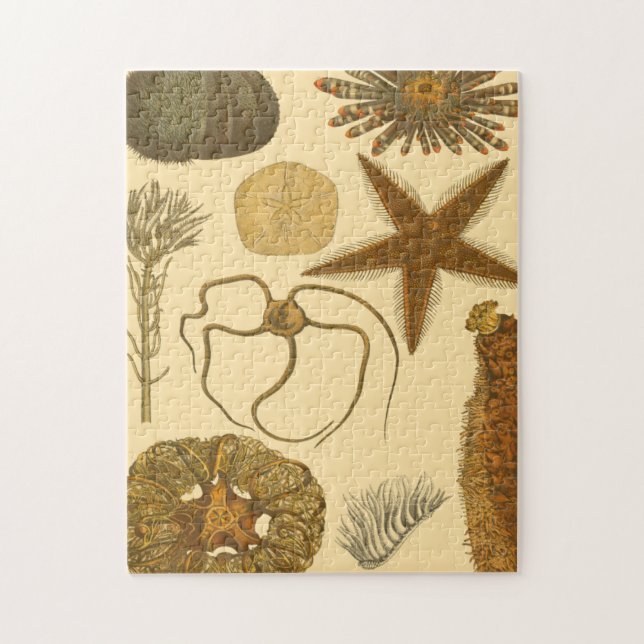 Undervattensbesättningar Pussel (Vertikal)