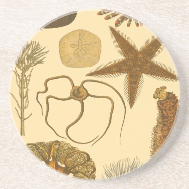 Undervattensbesättningar Underlägg Sandsten (Framsidan)