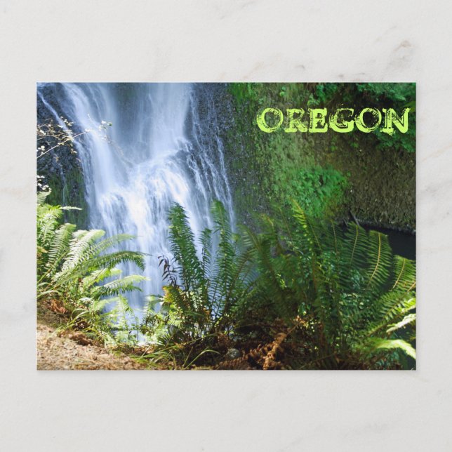 Undervattensfack Vykort (Framsida)