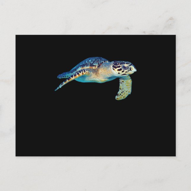 Undervattensfoto av Friendly Sea Turtle Swimming U Inbjudan Vykort (Framsida)