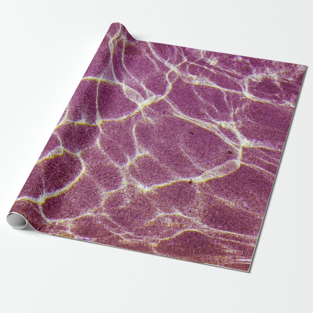 Undervattensfotografi av sand presentpapper (Utrullad)