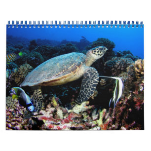 Undervattensfoton 2012-kalender kalender