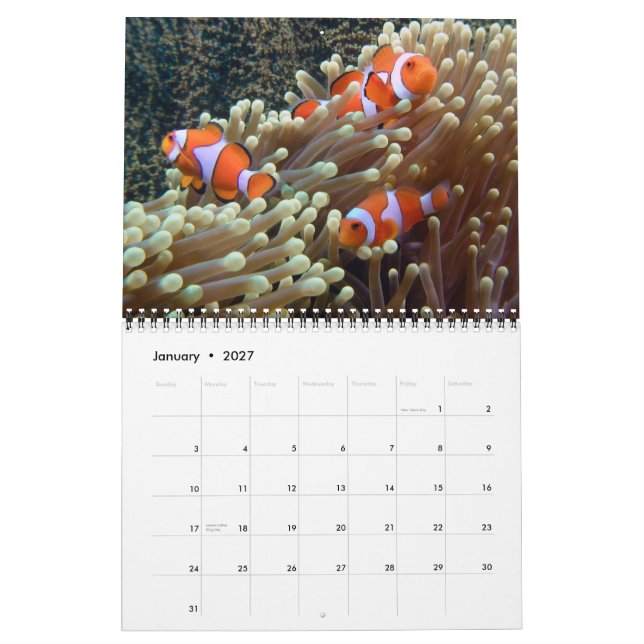 Undervattensfoton 2015 kalender (Jan 2027)