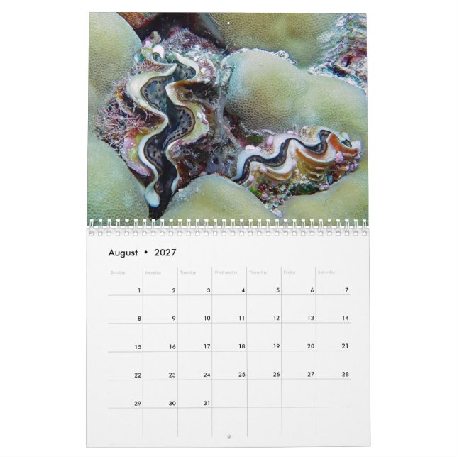 Undervattenskalender - Palau Kalender (Aug 2027)