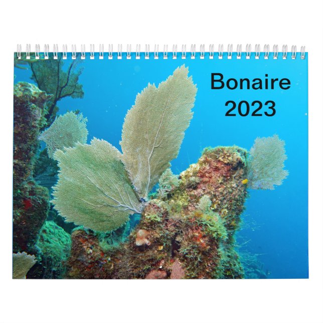 Undervattenskalender - Roatan, Honduras Kalender (Omslag)