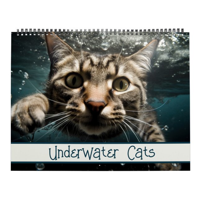 Undervattensknuftsfoto Kalender (Omslag)