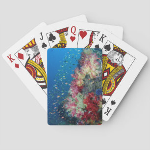 Undervattenskorallrev, Indonesien Casinokort