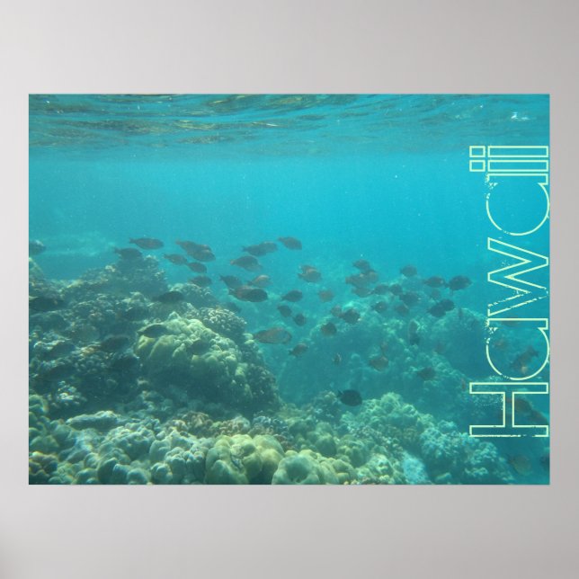 Undervattensscenen korallrevet Hawaii poster (Framsidan)