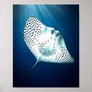 Undervattensserenitet Poster