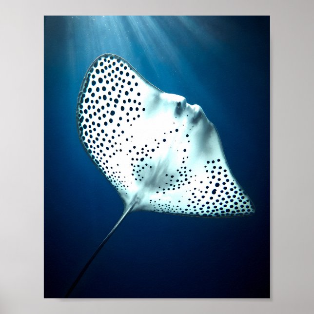 Undervattensserenitet Poster (Framsidan)