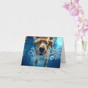 Undervattenssimning Bubbles Blue Ögon Blank Hund T Kort