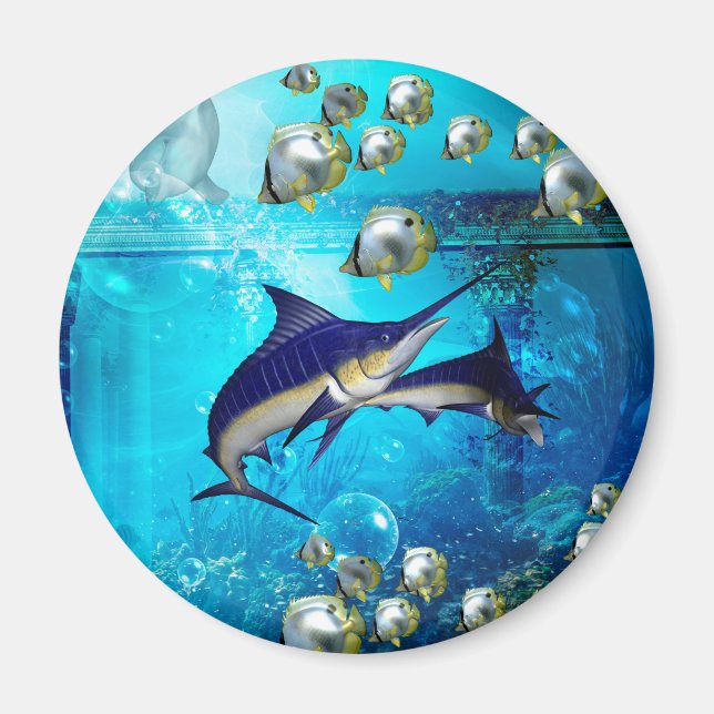 Undervattensvärlden fantastisk magnet (Framsidan)