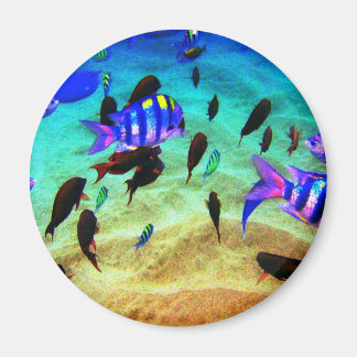 undervattensvatten magnet