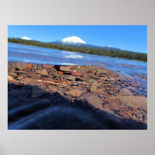 Undervattensvy för Little Lava Sjö, Oregon Poster (Framsidan)