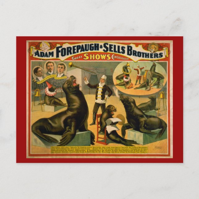 Undervattnad Lejon och Sälar Circus Poster Vykort (Framsida)