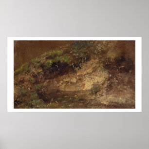 Undervegetation c.1821 (olja på papper ombord) poster
