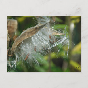 Underverk av naturen~ Seeds Vykort