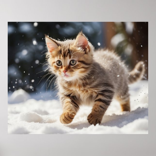 *~* Undervisning om Snö Kattunge 5:4 Kitten Katt A Poster (Framsidan)