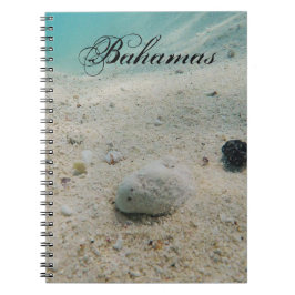 Underwater Beach Life Anteckningsbok Med Spiral