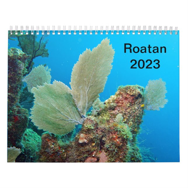 Underwater Calendar -- Roatan, Honduras Kalender (Omslag)