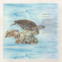 Underwater Hand-Pawarksbill Sea Turtle