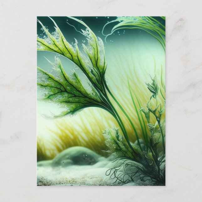 Underwater Majesty Vykort (Framsida)