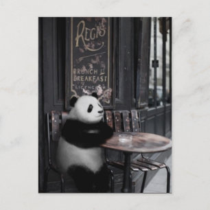 Undrar på ett kafé vykort