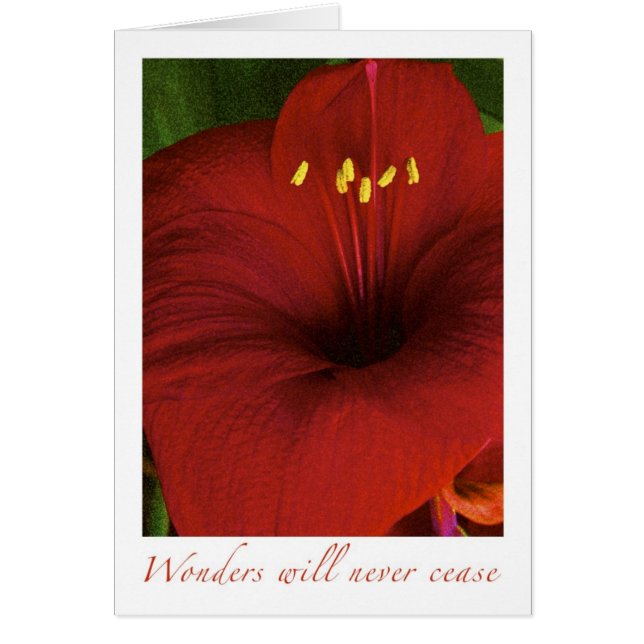 Undrarna kommer aldrig att upphöra hälsningskort (Framsidan)