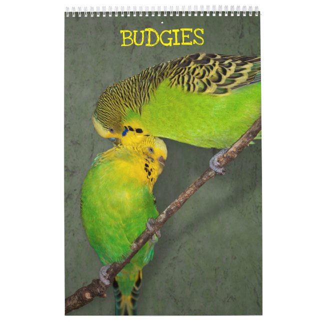 Undulaterkalender Kalender (Omslag)