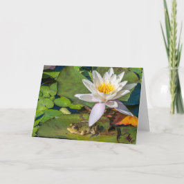 Une grenouille sous une fleur de nénuphar kort