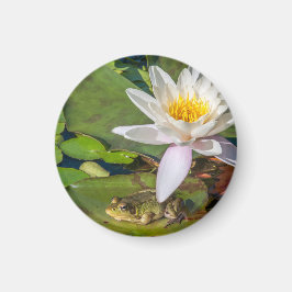 Une grenouille sous une fleur de nénuphar magnet