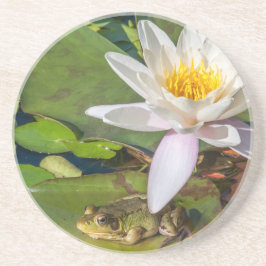 Une grenouille sous une fleur de nénuphar underlägg