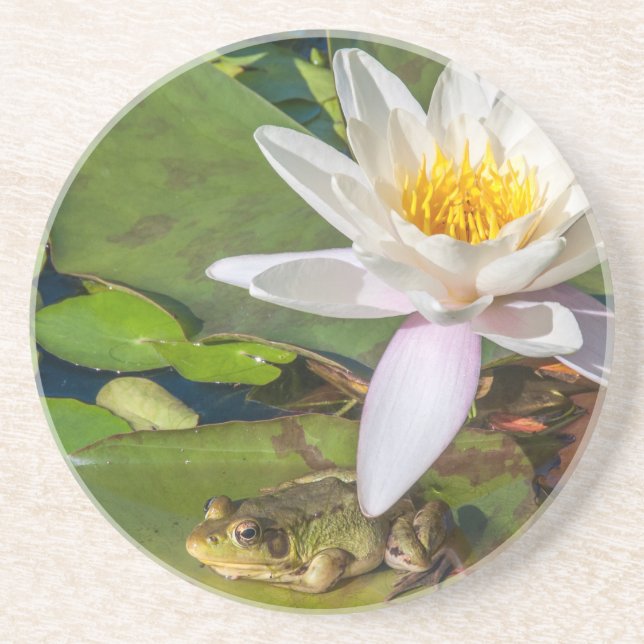 Une grenouille sous une fleur de nénuphar underlägg (Framsidan)