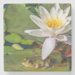 Une grenouille sous une fleur de nénuphar underlägg sten